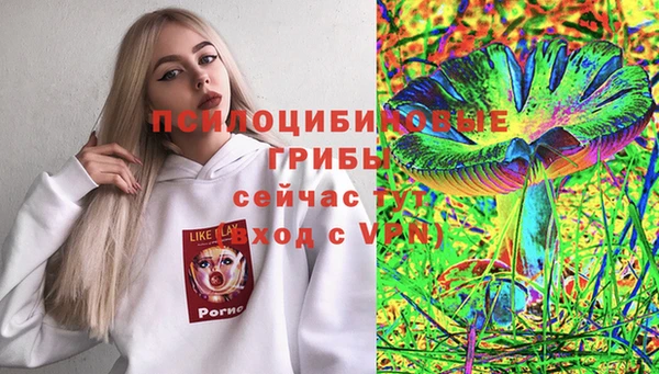 мяу мяу мука Алексеевка