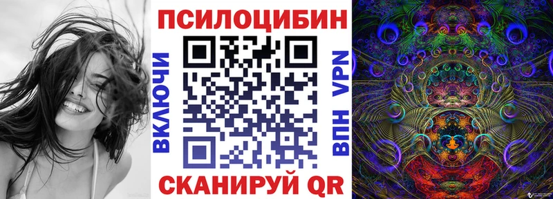 Псилоцибиновые грибы Cubensis  Балашов 