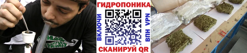 Конопля THC 21%  как найти наркотики  Балашов 
